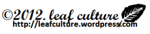 blog leaf culture all abaout blog tutorial